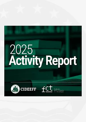 CIDEEFF Activity Report 2025