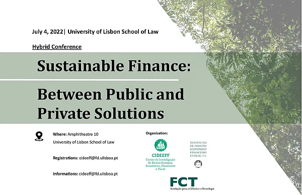 Sustainable Finance: Between the Public and the Private