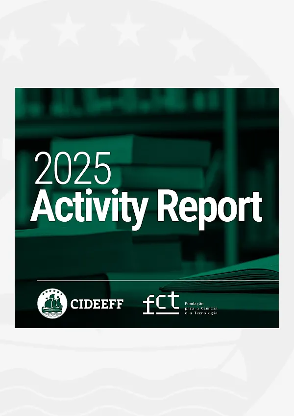 CIDEEFF Activity Report 2025